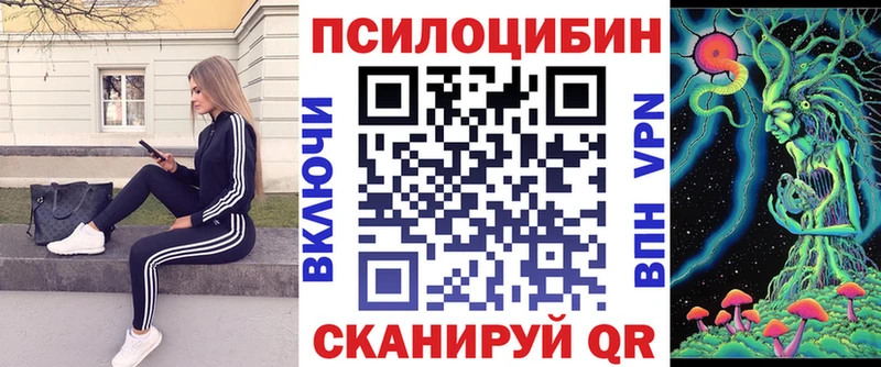 Купить  Сосновка  Галлюциногенные грибы GOLDEN TEACHER 